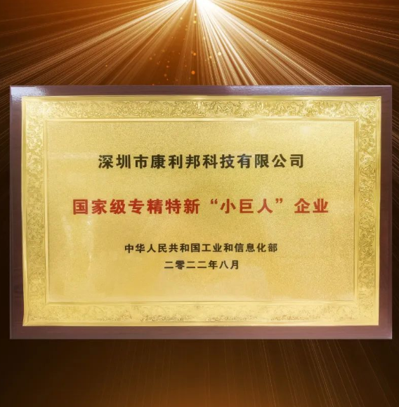 國家工信部頒發(fā)的國家級(jí)專精特新“小巨人”