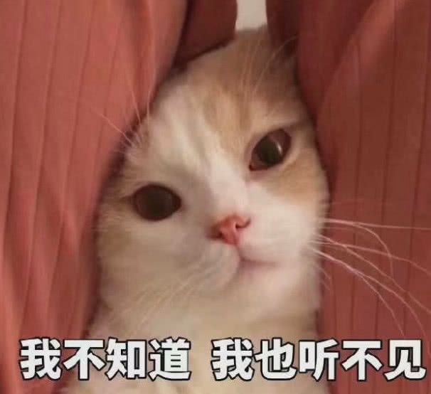 硅膠粘鋅合金熱硫化膠水.jpg